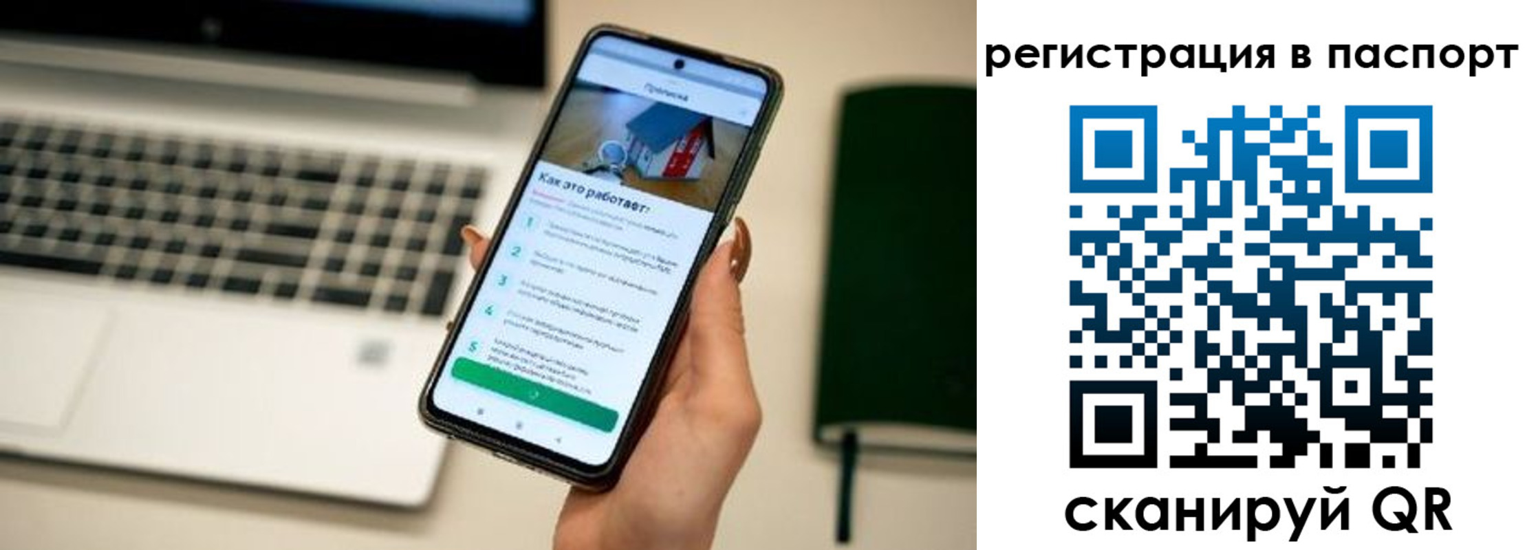 временная регистрация поиск в Сольцах